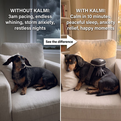 Calming Massager